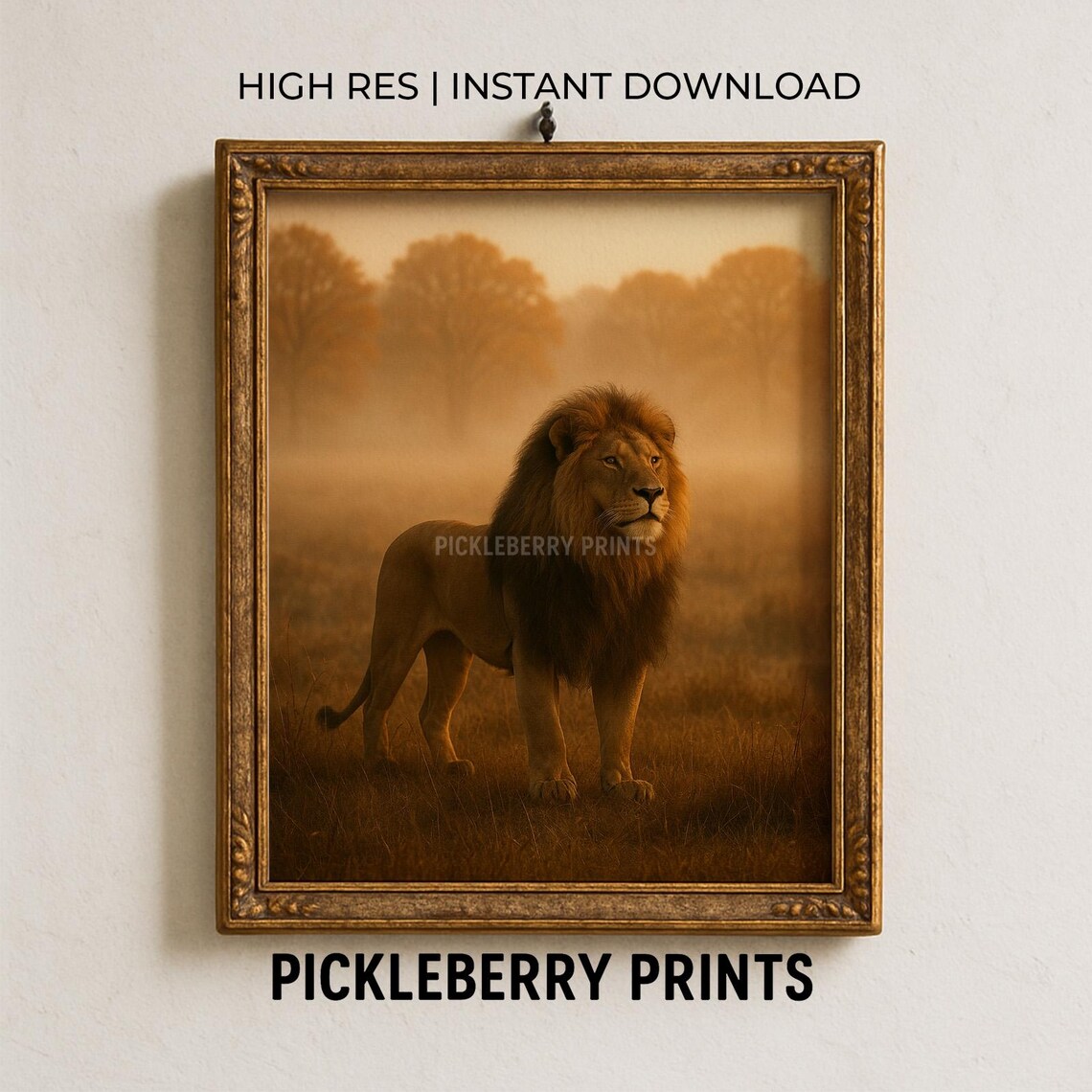 Majestic Lion Golden Mist Regal Savanna Wildlife Nature Wall Art