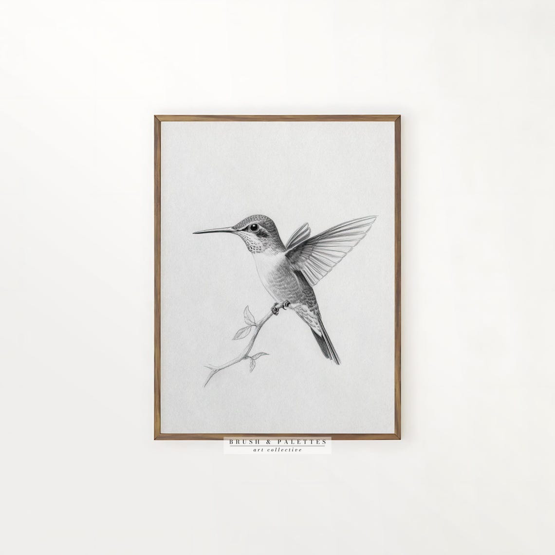 Hummingbird Graphite Sketch Detailed Pencil Bird Drawing Poster