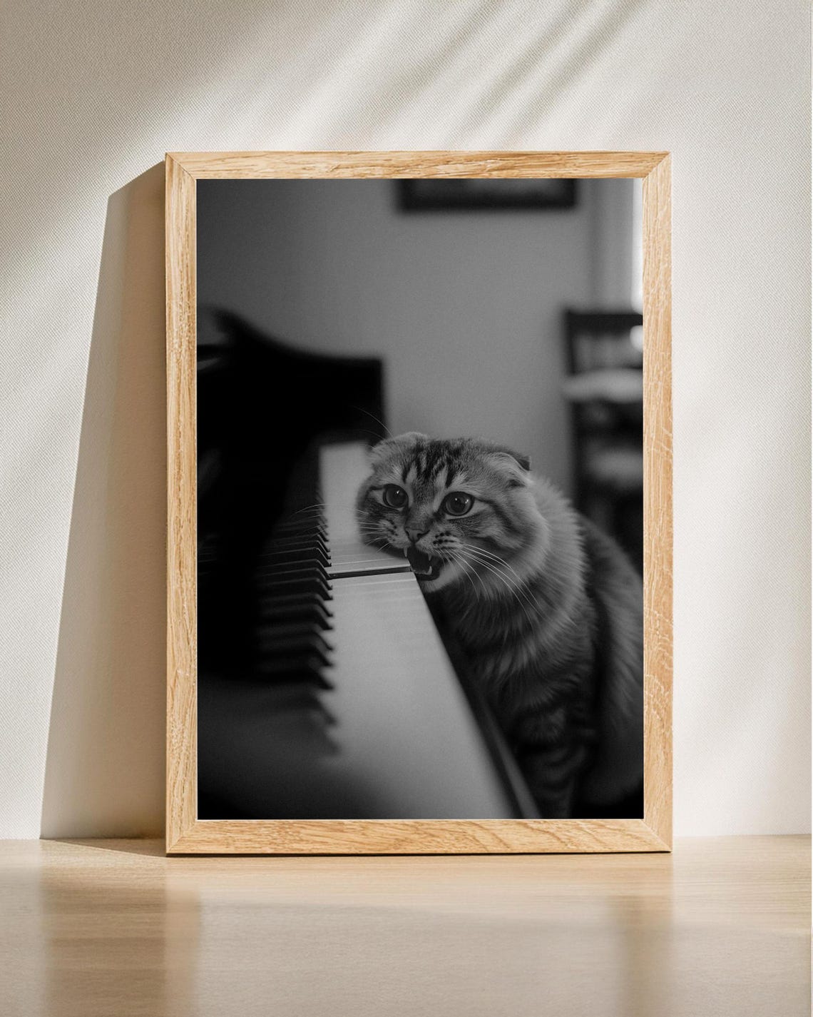 Scottish Fold Cat Biting Piano Key Black and White Funny Poster