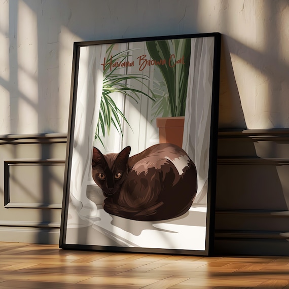 Charming Havana Brown Chocolate Cat In Sunlit Window Nook Poster