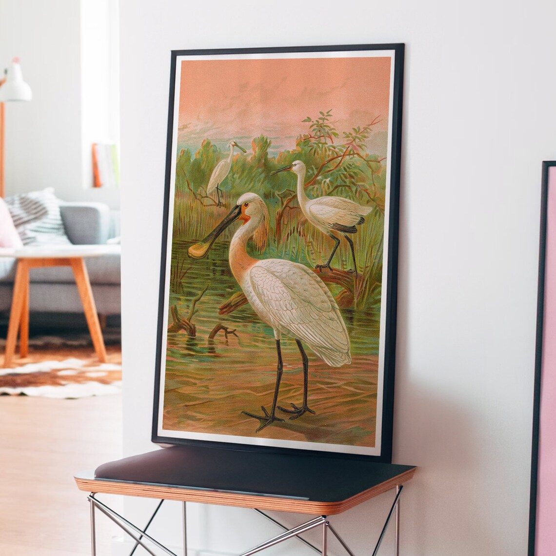 White Spoonbills Wading in Wetlands Vintage Naturalist Bird Art Poster - Image 4