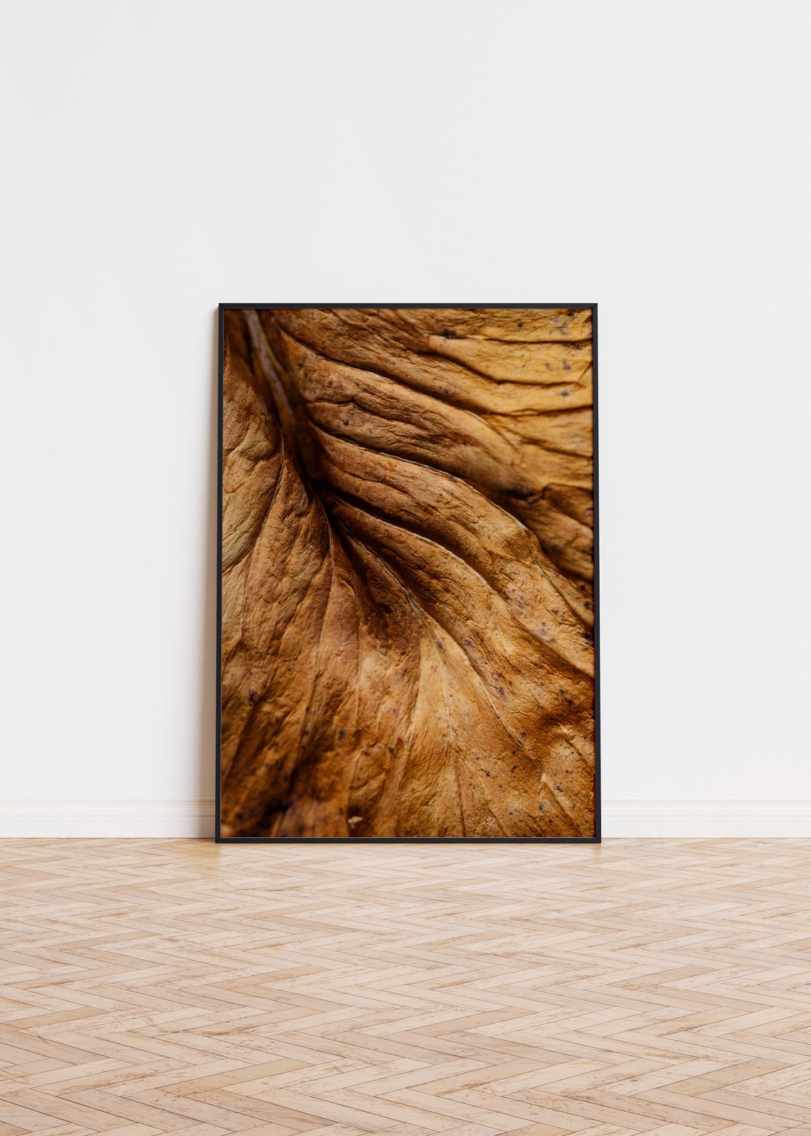 Dried Autumn Poster Wall Art Printed