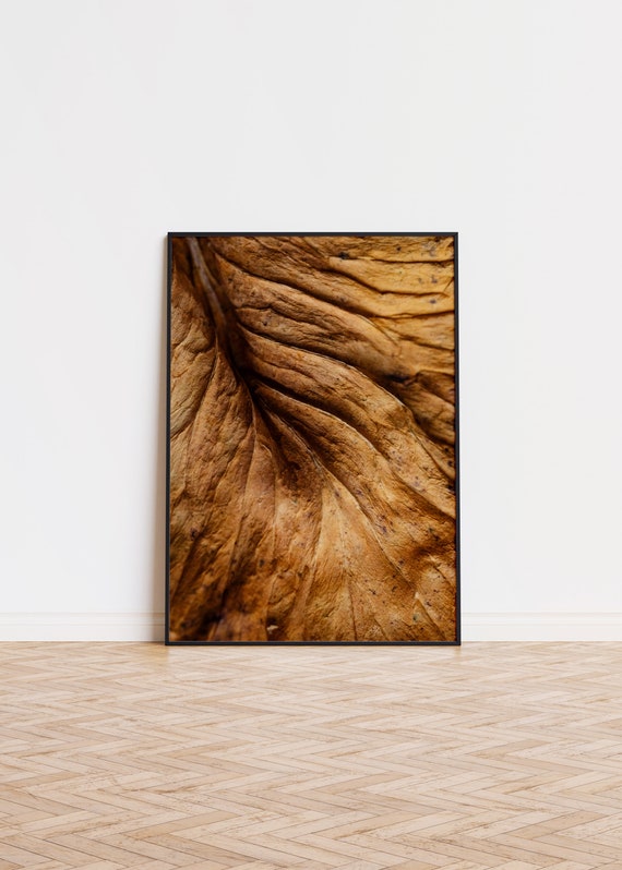 Dried Autumn Poster Wall Art Printed