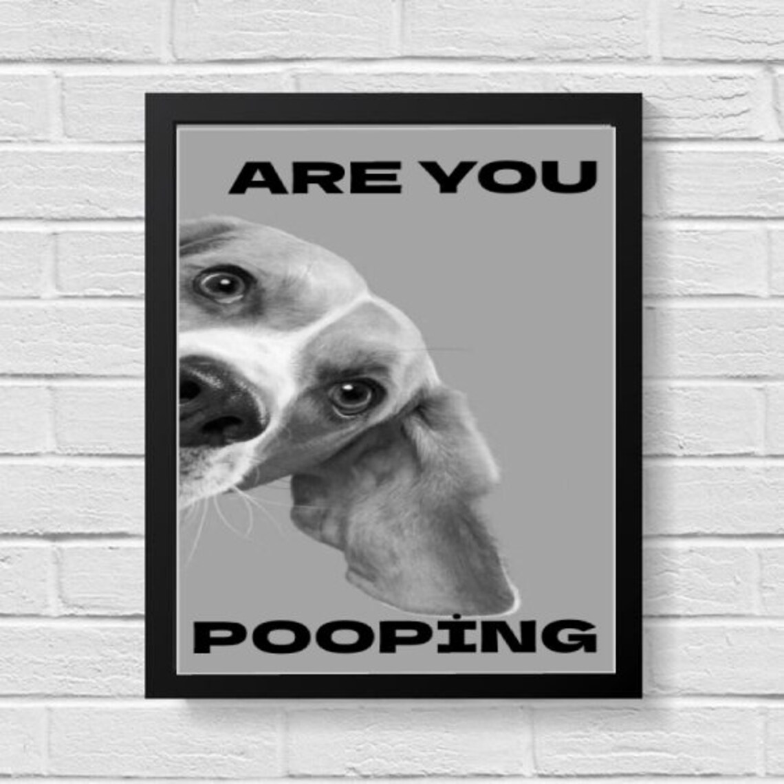 Are You Pooping Funny Beagle Dog Black White Bathroom Poster - Image 2