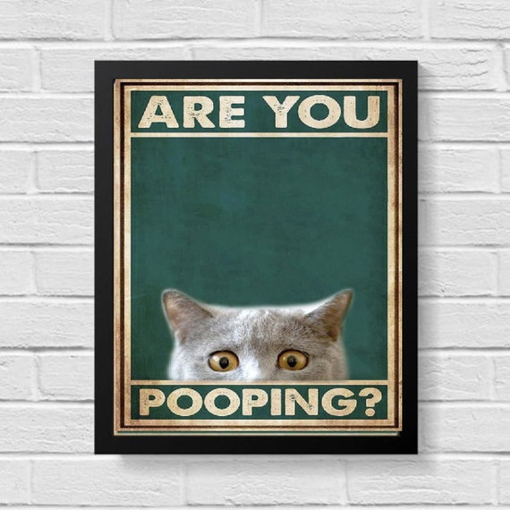 Are You Pooping White Cat Bathroom Decor Wall Art For Bathroom Funny Art Home Decor Funy Wall Art