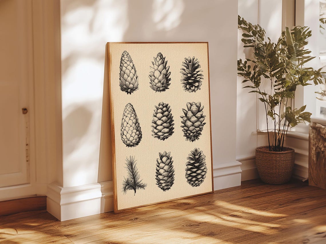 Nine Pinecones Botanical Ink Study Vintage Nature Illustration Poster