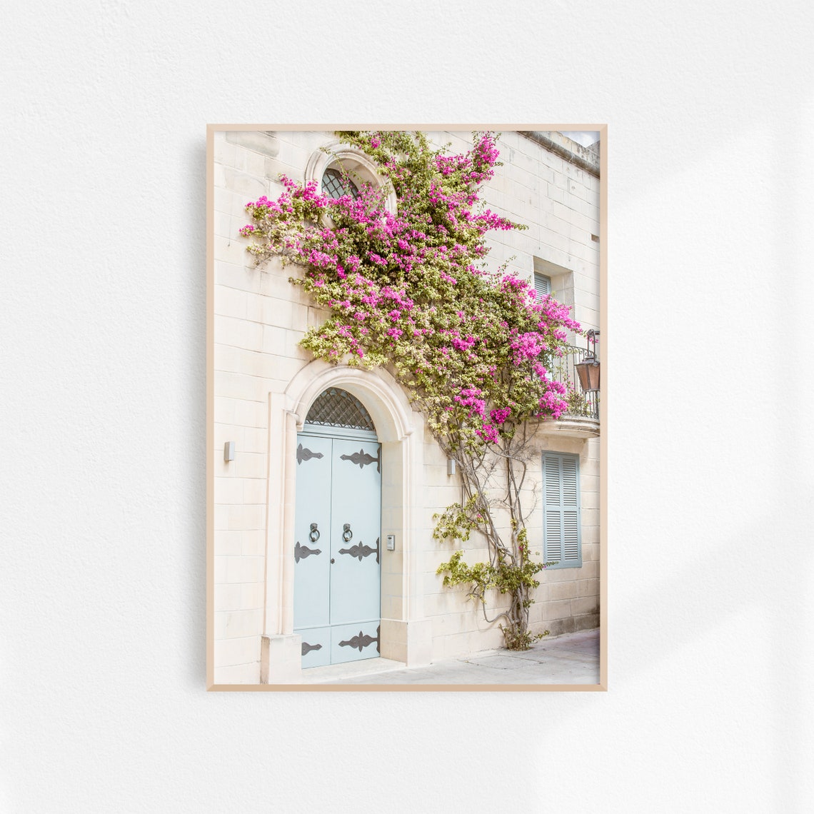 Blue Maltese Door Covered In Pink Bougainvillea Flowers Poster