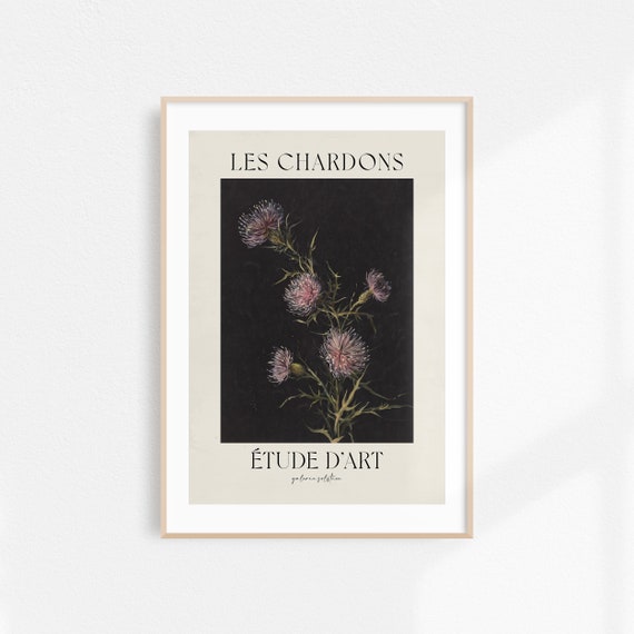 Thistle Floral Print Botanical Poster Modern Farmhouse Decor Exhibition Poster Farmhouse Art Print Floral Wall Art