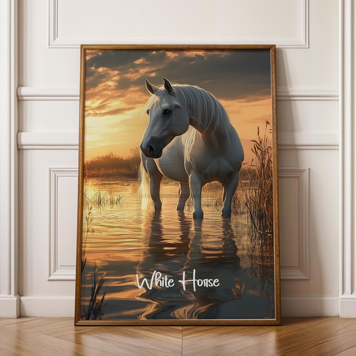 White Horse Camargue France Sunset Wetland Wildlife Art Poster