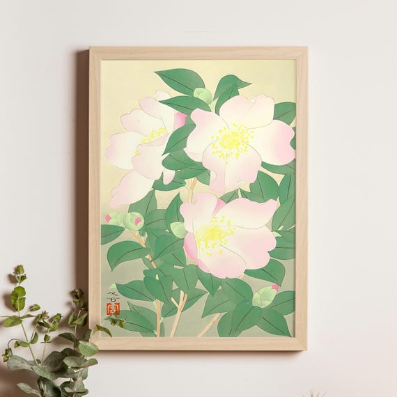 Camellia Sazanka Mukai Kuman July 1949 Japanese Botanical Print Winter Art Vintage Flower Illustration Floral Poster