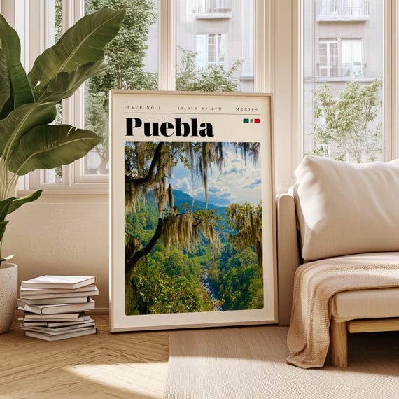 Puebla Mexico Lush Forest With Mossy Trees Nature Art Poster