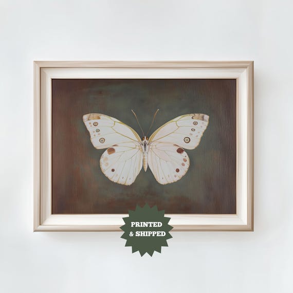 Moody Butterfly Wall Art Print Country Farmhouse Home Decor Printed And Shipped Cottagecore Antique Insect Moth Print Ta28