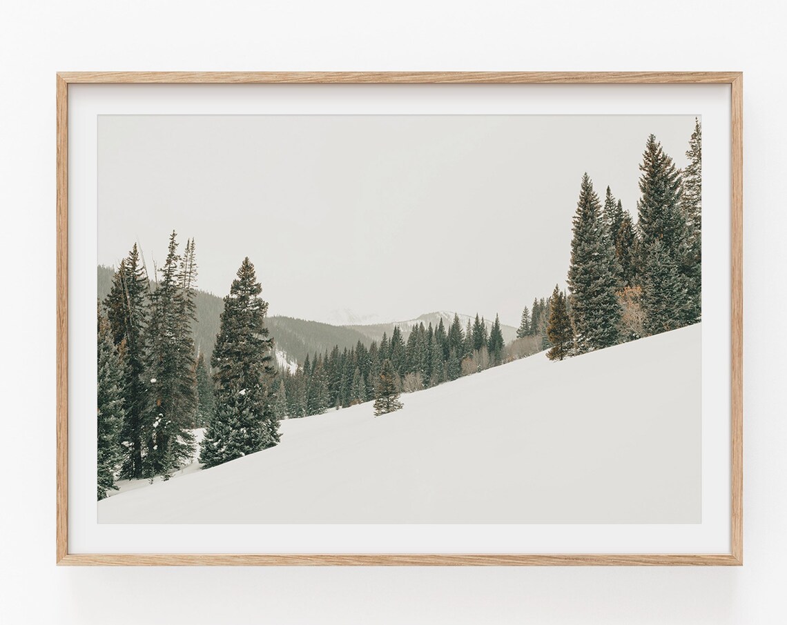 Nature Photography Minimalist Poster Print - Image 4