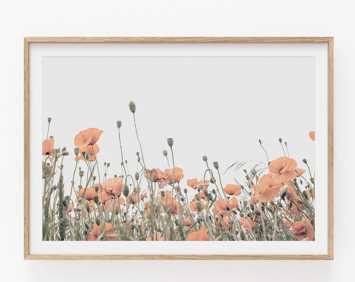 Poppy Print Instant Art Poster Print
