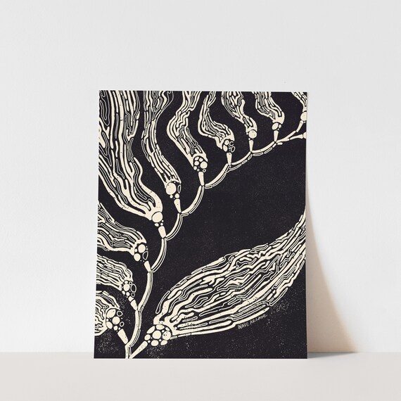 Copy Giant Kelp Surf Art Print Minimalist Illustration Coastal Room Decor Modern Beach House Wall Art Black White