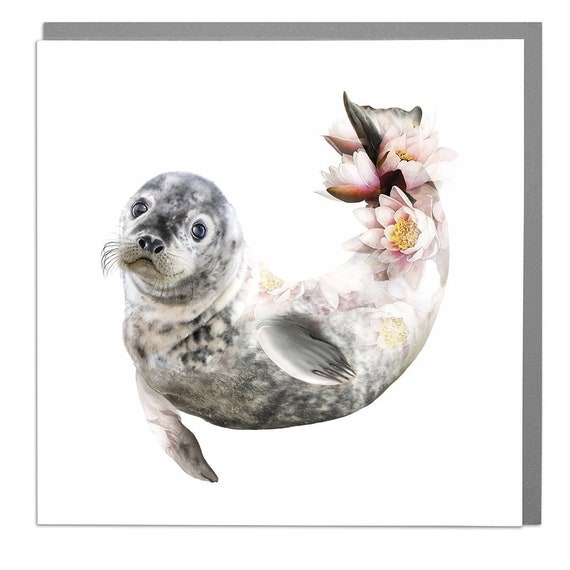 Seal Blank Greeting Card By Lola Design