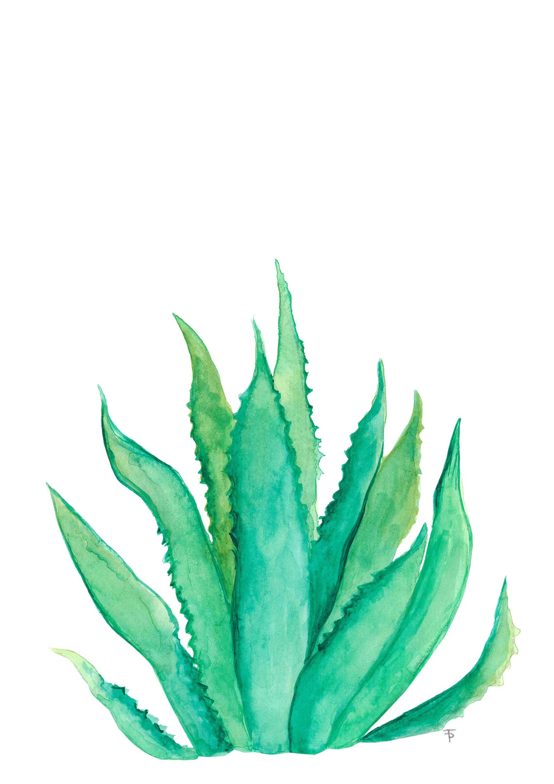 Aloe Vera Green Watercolor Botanical Succulent Plant Wall Poster - Image 2