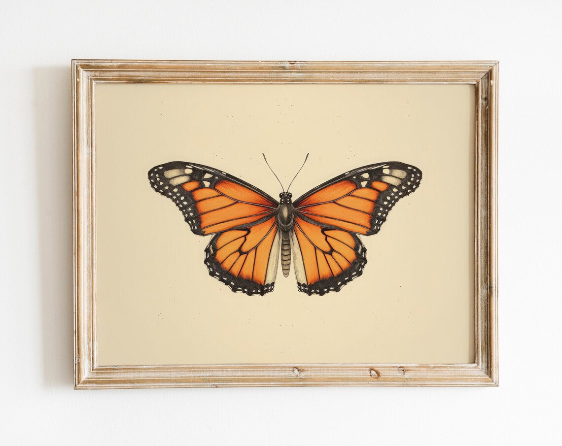 Monarch Butterfly Vintage Botanical Illustration Farmhouse Art Print