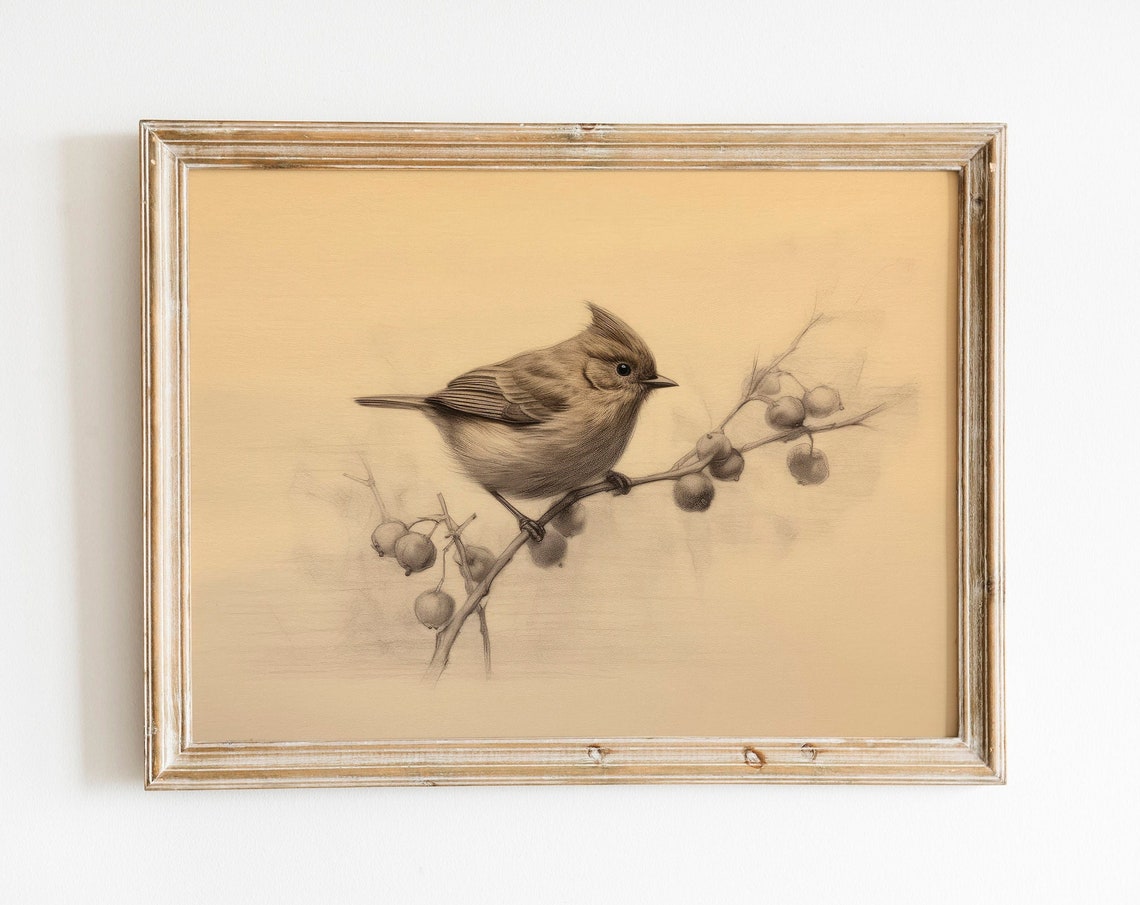 Charming Vintage Songbird Berry Branch Sketch Antique Bird Art Print