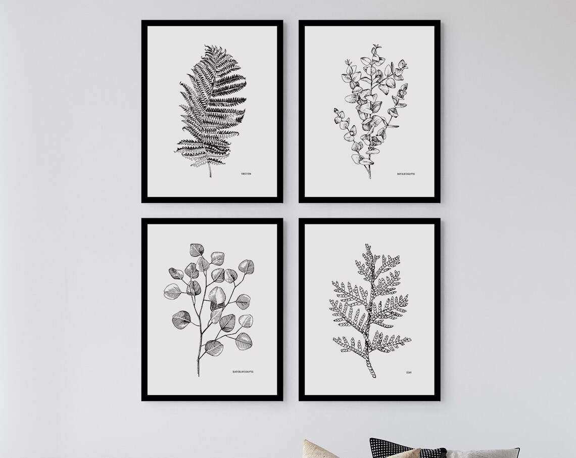 Botanical Eucalyptus Print, Monochrome Botanical Illustration