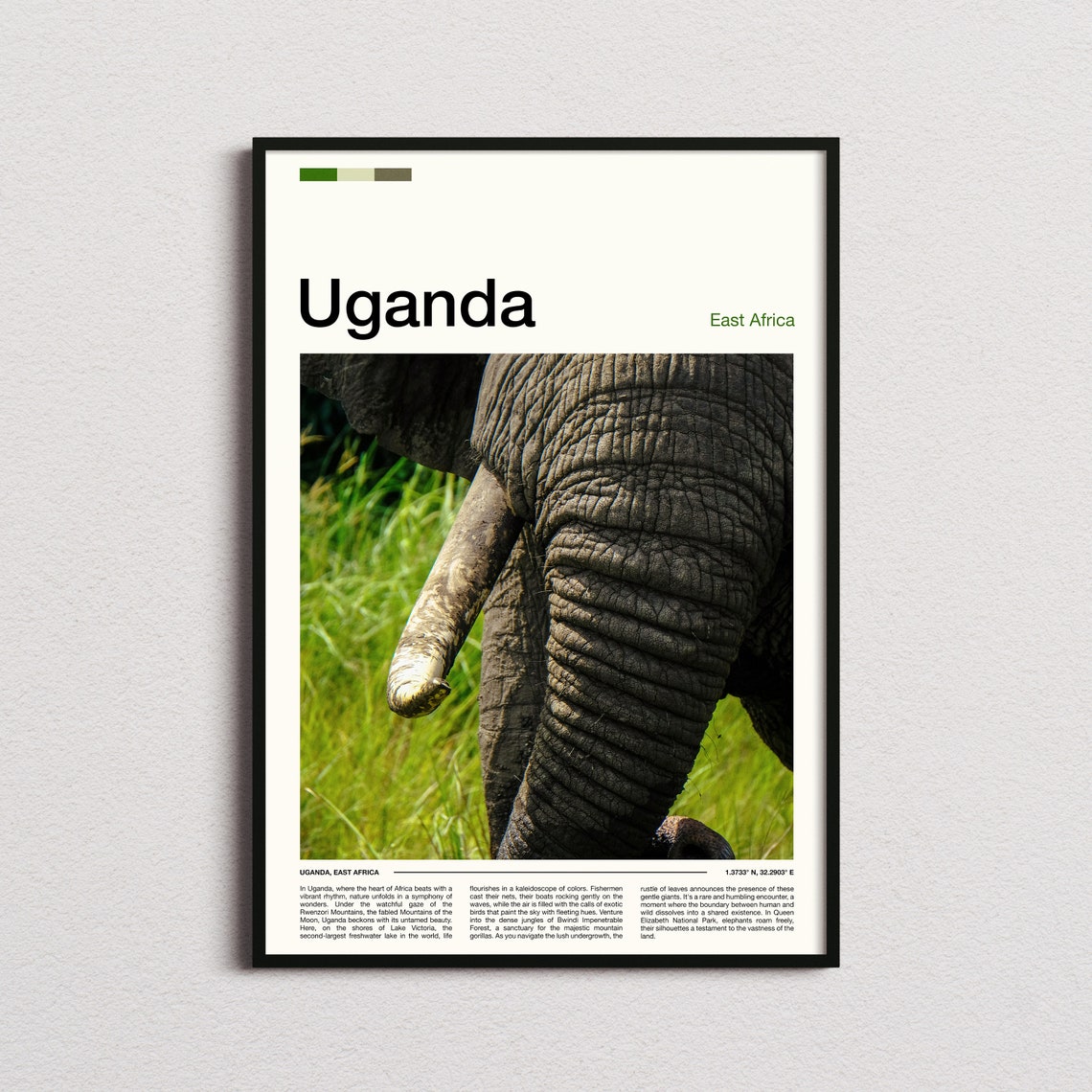 Uganda East Africa Elephant Skin Close Up Wildlife Safari Poster