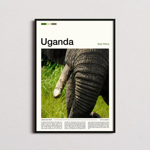 Uganda East Africa Elephant Skin Close Up Wildlife Safari Poster