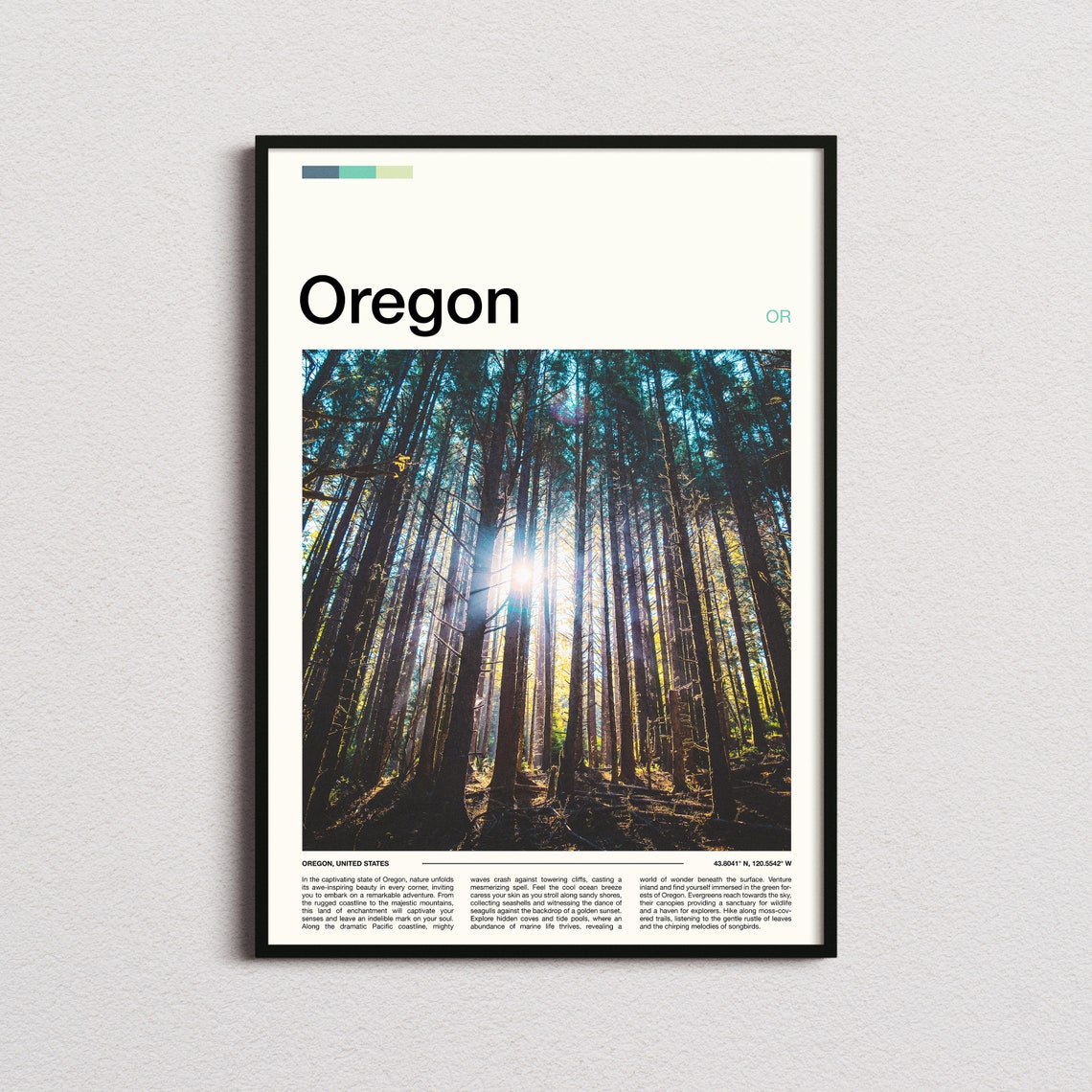 Oregon Evergreen Forest Sunlight Through Tall Pines Woods Poster