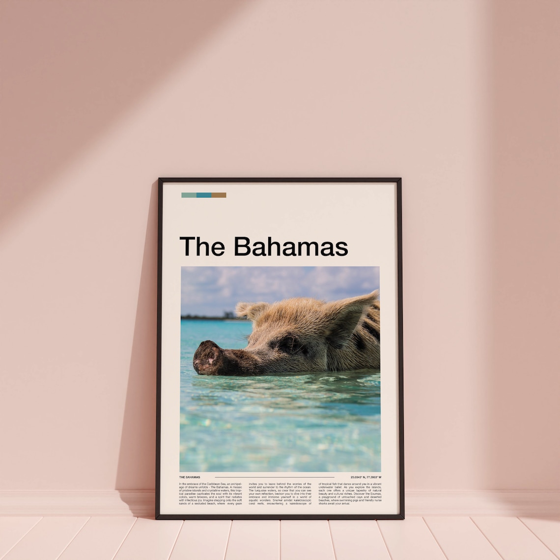Bahamas Swimming Pig Crystal Water Beach Close Up Photo Poster - Image 4