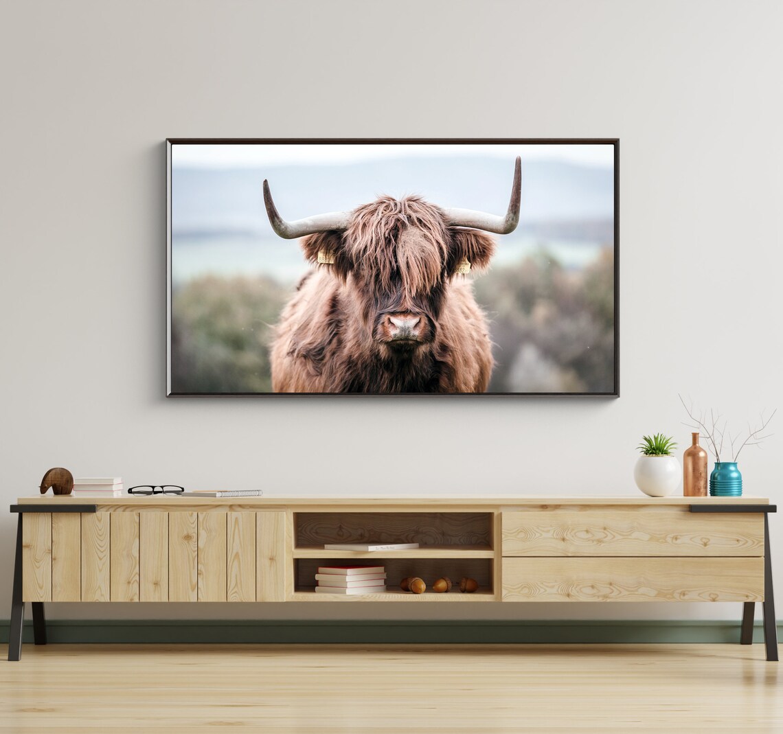 Highland Cow Photo Art, Farm Animal Poster Print