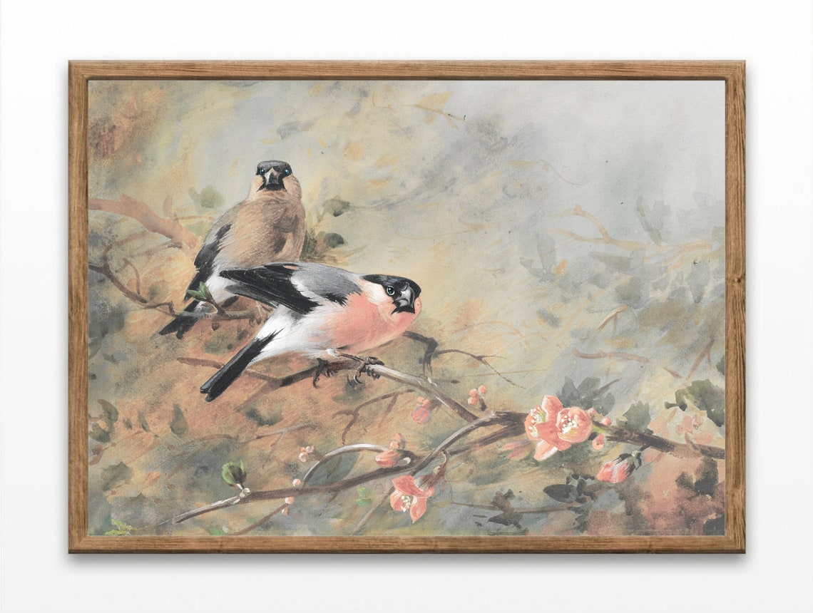 Eurasian Bullfinch Pair Watercolor Blossom Branch Bird Art Print