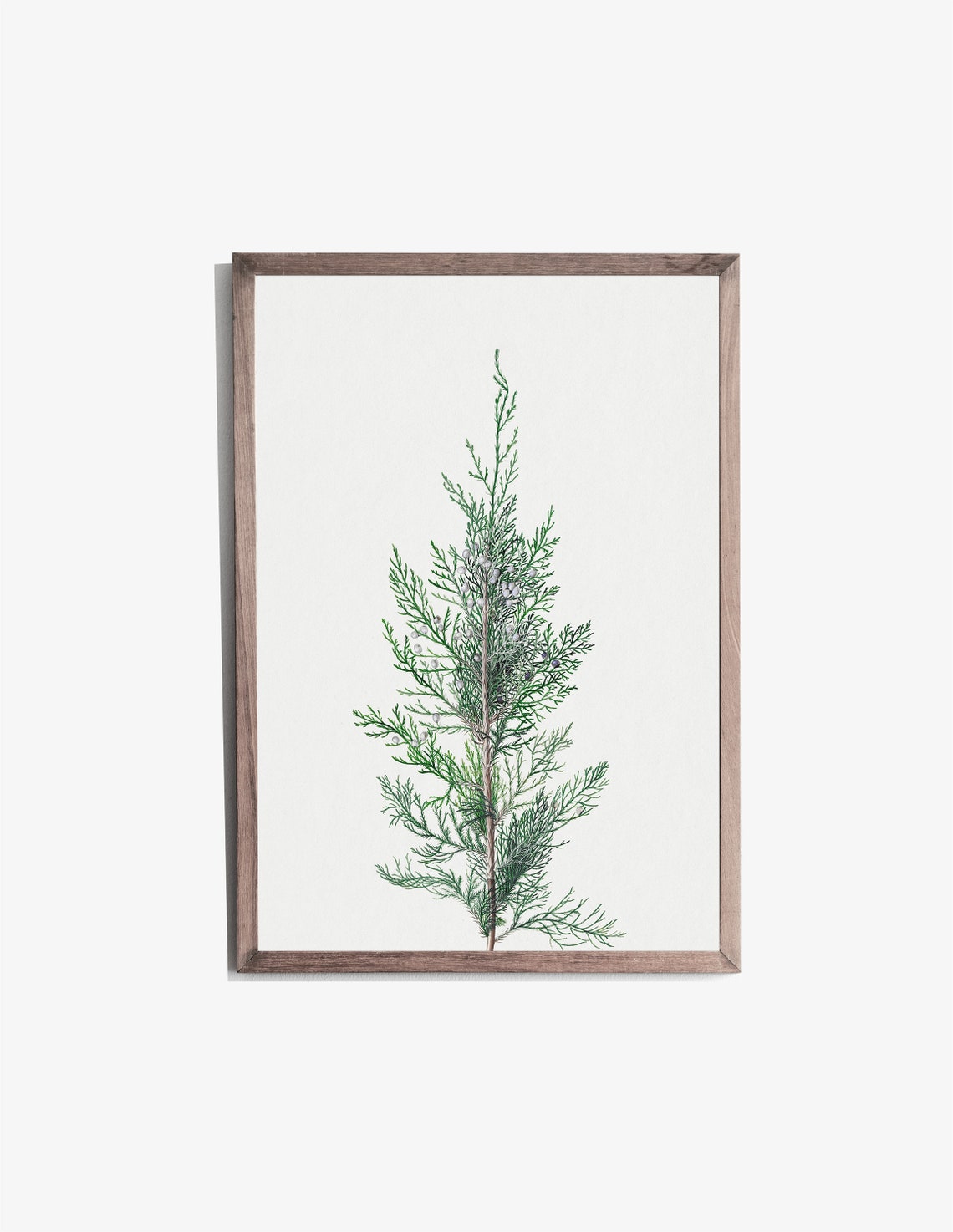 Vintage Juniper Prints Pine Trees In Art Paintings Of Tree Lake House Wall Decor Wall Art - Image 2