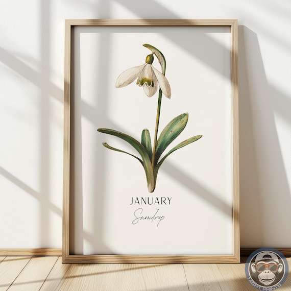 Snowdrop Print January Birth Flower Botanical Art