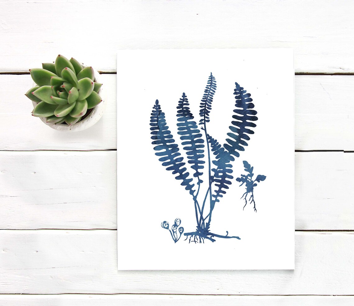 Indigo Blue Fern Cluster Roots Watercolor Botanical White Print - Image 3