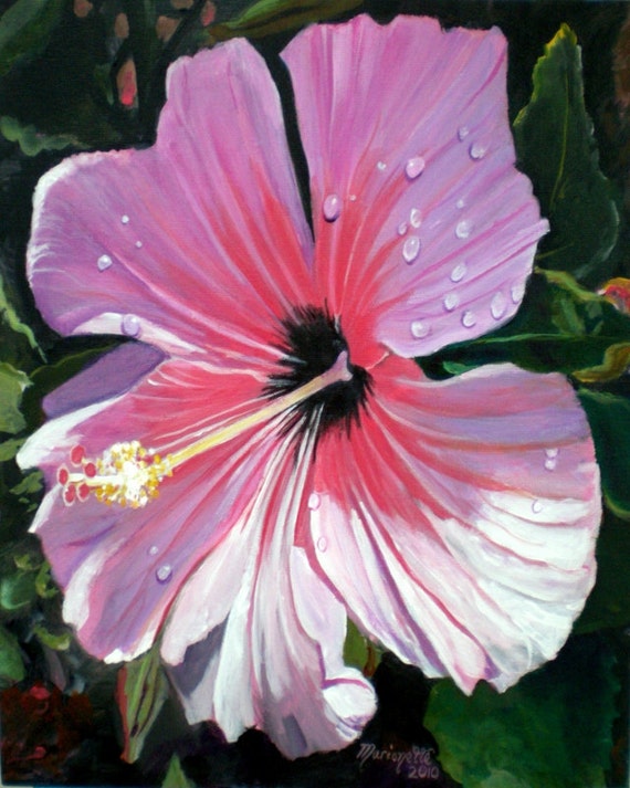 Pink Hibiscus Art Hibiscus Prints Hawaiian Flowers Hawaiian Art Tropical Hibiscus Flower With Rain Drops Kauai Art Hawaii Art
