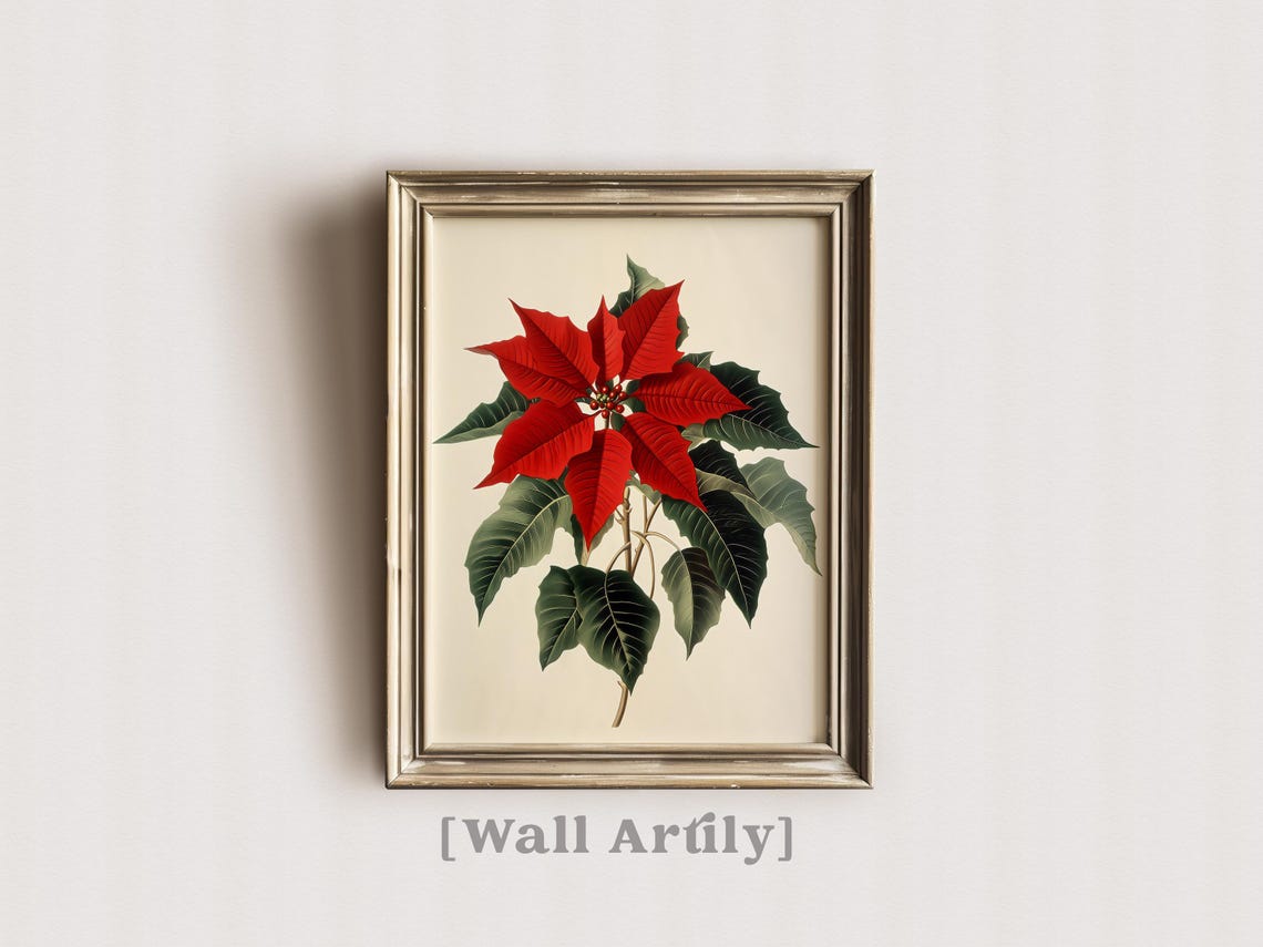 Vintage Red Poinsettia Christmas Holiday Botanical Art Print - Image 3