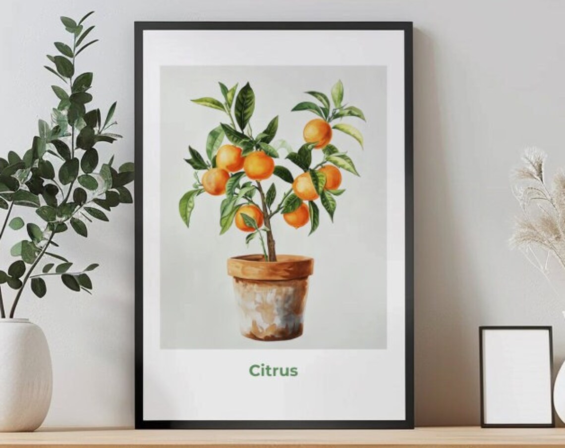 Citrus Orange Tree Potted Fruit Watercolor Botanical Art Poster