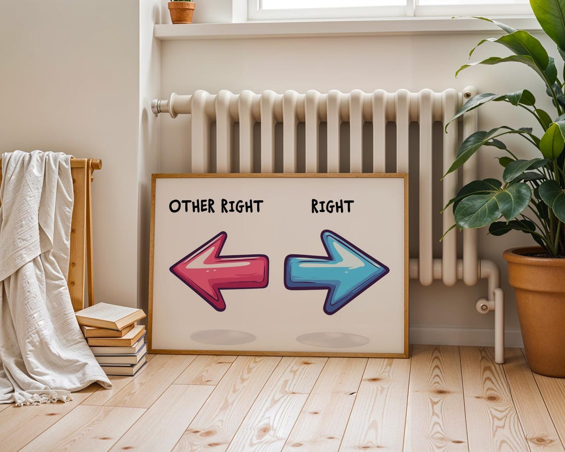 Right And Other Right, Funny Poster - Image 6