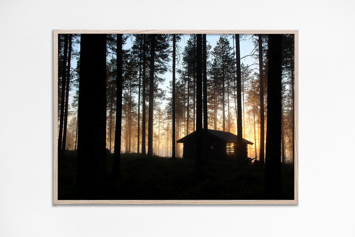 Rustic Log Cabin In Pine Forest At Sunset Nature Photo Poster