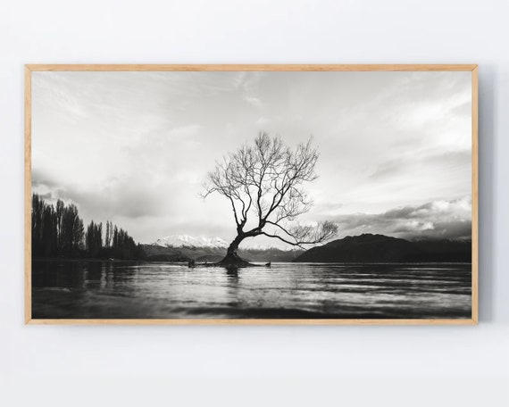 Black And White Tree Lake Landscape Art Print