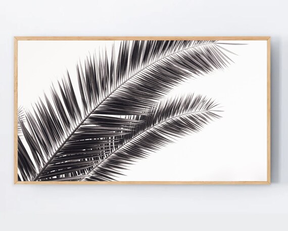 Black And White Palm Tree Leaves Minimalist Photography Poster