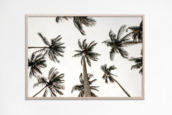 Palm Trees Print Tropical Tree Art Photography Coastal Wall Neutral Botanical Decor