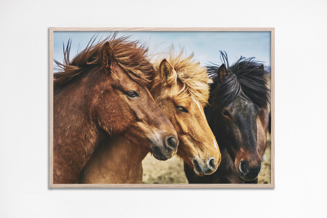 Three Horses Close Up Western Wild Mane Rustic Ranch Photo Poster