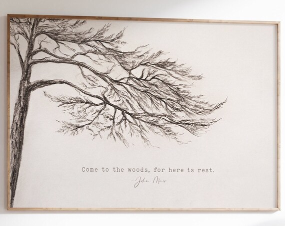 John Muir Quote Tree Art Print, Minimal Nature Decor