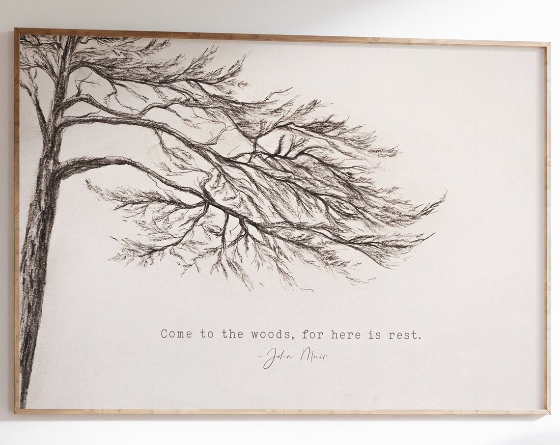 John Muir Quote Tree Art Print, Minimal Nature Decor