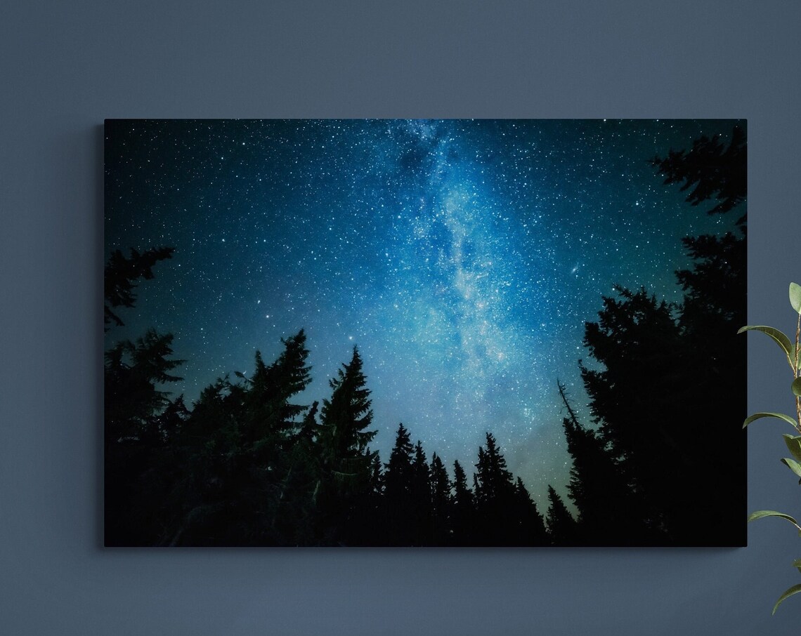 Stars And Trees Night In Forest, Art Print - Image 3