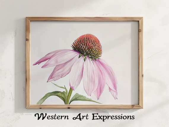 Coneflower Flower Watercolor Illustration Botanical Wall Art Print Pink Echinacea Nature Inspired Home Decor