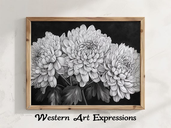 Chrysanthemums Trio Ink Drawing Black And White Floral Art Botanical Wall Decor Elegant Monochrome Home Decoration