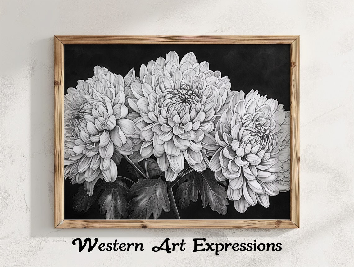 Chrysanthemums Trio Ink Drawing Black And White Floral Art Botanical Wall Decor Elegant Monochrome Home Decoration