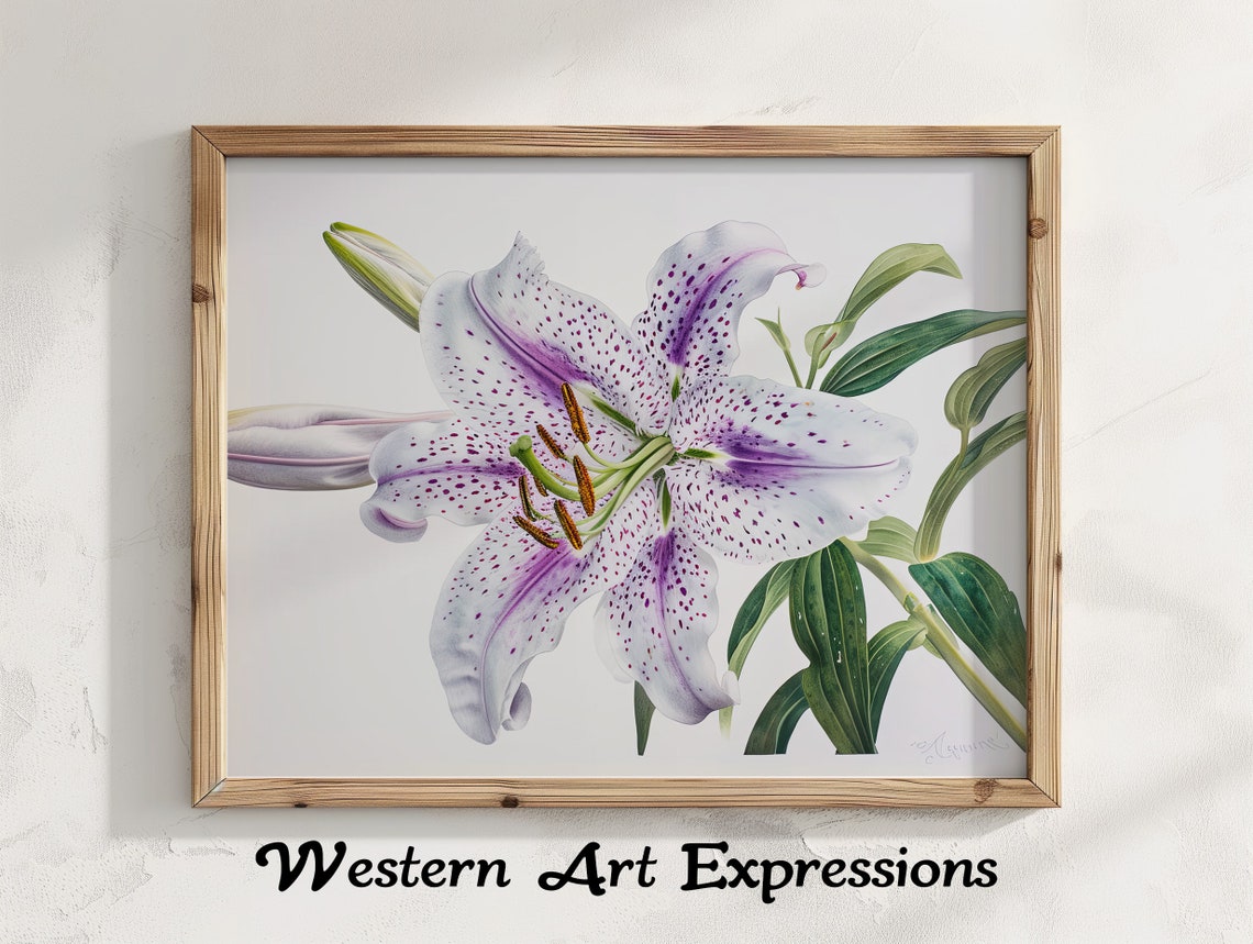 Pink Spotted Tiger Lily Watercolor Botanical Illustration Poster