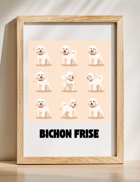 Bichon Frise Dog Nine Cute Illustrations Fun Breed Chart Poster